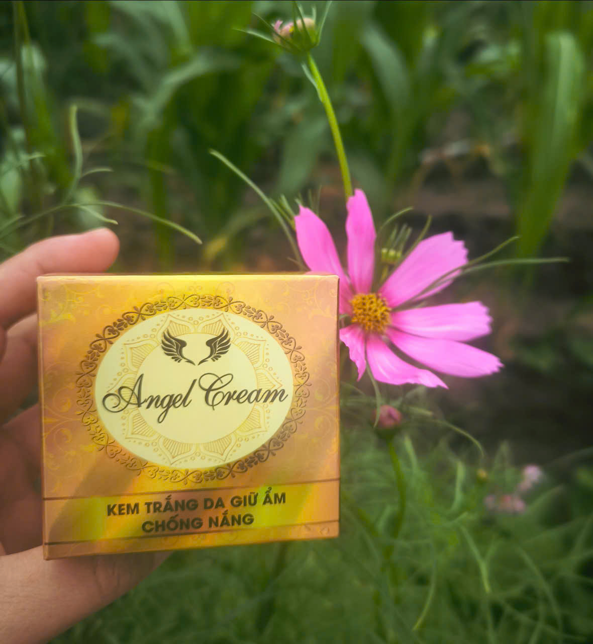 gen-h-z7138942100445_7a05f6ba36ac34a83a09a3b6bcece38d